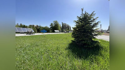 'Yangi hafta qanday ob-havo bilan boshlanadi?'ning rasmi