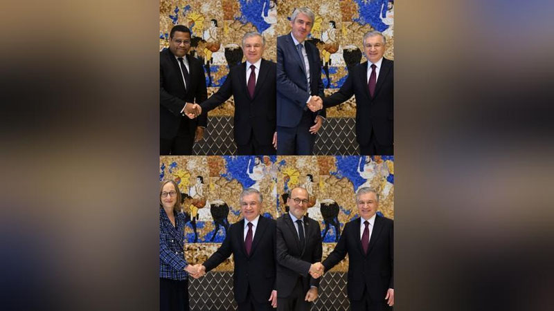 'Shavkat Mirziyoev “Meridiame”, “Lactalis”, “Boehringer Ingelheim” kompaniyalari rahbarlari hamda Fransiya taraqqiyot agentligi rahbari uchrashdi'ning rasmi