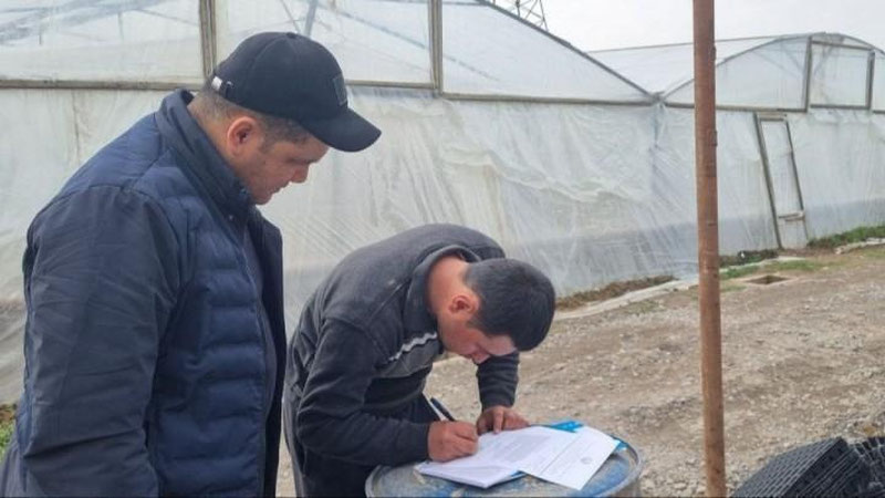 'Zangiota, Toshkent, Qibray, Yangiyo`l tumanlaridagi issiqxonalar faoliyati o`rganilmoqda'ning rasmi