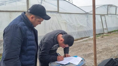 'Zangiota, Toshkent, Qibray, Yangiyo`l tumanlaridagi issiqxonalar faoliyati o`rganilmoqda'ning rasmi