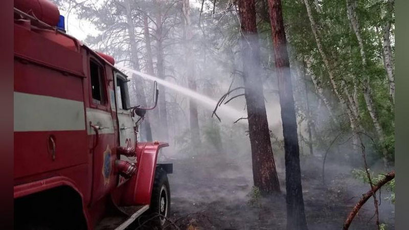 'Qozog`istondagi o`rmon yong`inida  qurbon bo`lganlar soni 14 nafarga etdi'ning rasmi
