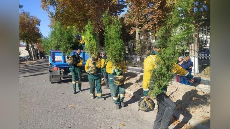 '"Yashil Makon" doirasida 2 mlndan ortiq daraxtlar "ekildi" deb, hisobotga qo`shib yozilgan'ning rasmi