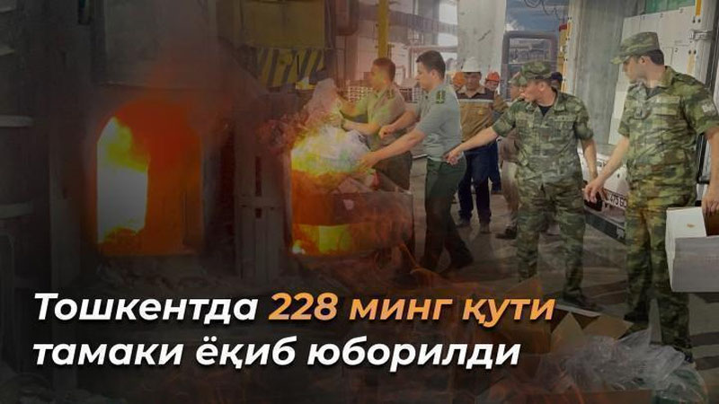 'Toshkentda 228 ming 144 quti tamaki yoqib yuborildi (video)'ning rasmi