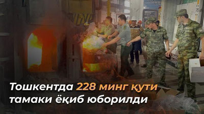 'Toshkentda 228 ming 144 quti tamaki yoqib yuborildi (video)'ning rasmi