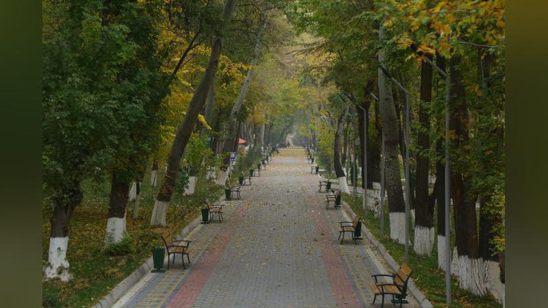 'Hafta o`rtasida O`zbekistonga Kavkaz hududidan nam havo kirib kelishi boshlanadi'ning rasmi