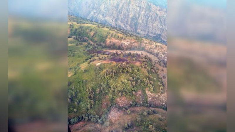 'Chotqol qo`riqxonasi hududida yong`in sodir bo`ldi'ning rasmi