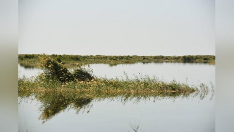 Изрображение 'Озеро в Каракалпакстане включено в список Рамсарских водно-болотных угодий'