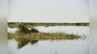 Изрображение 'Озеро в Каракалпакстане включено в список Рамсарских водно-болотных угодий'