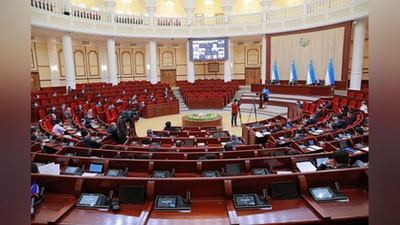 Изрображение 'Депутаты отклонили проект закона о наделении участковых дополнительными полномочиями'