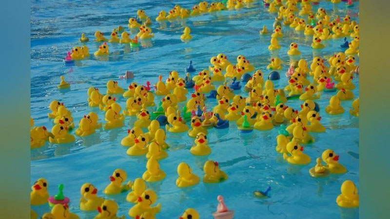 '“Yangi O`zbekiston” bog`iga 10 000 ta plastik o`rdakchalar tushiriladi(mi?)'ning rasmi