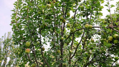 '2 iyun uchun ob-havo prognozi e`lon qilindi'ning rasmi