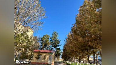 'O`zbekistonda haroratning jadal ko`tarilishi boshlanadi'ning rasmi