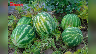 Image of 'The weather forecast for July 27 has been announced.'