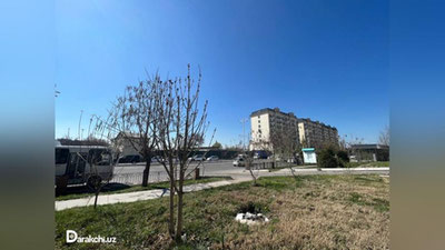 'Bugun O`zbekistonda harorat 28 darajaga ko`tariladi'ning rasmi