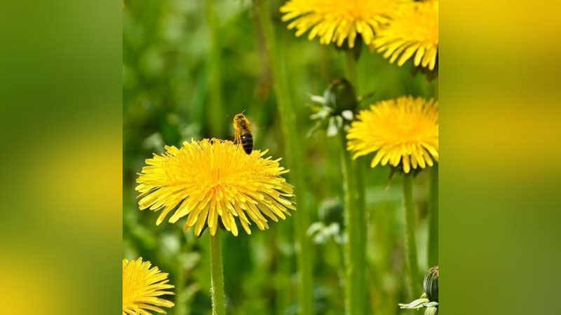 '30 iyun kuni kuzatiladigan ob-havo prognozi e`lon qilindi'ning rasmi