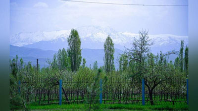 'O`zbekistonda qachon salqin ob-havo bo`lishi ma`lum qilindi'ning rasmi