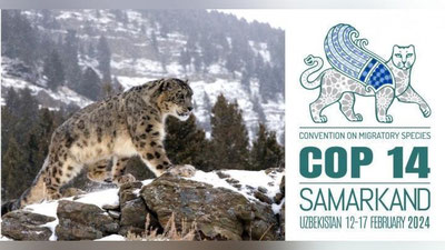 'Samarqand yana bir yirik tadbirga mezbonlik qiladi'ning rasmi