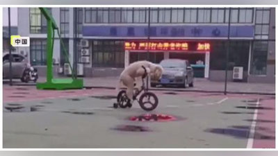 'Хитойда ит велосипед ҳайдашни ўрганиб олди'ning rasmi