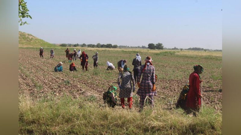 'O`zbekiston Savdo-sanoat palatasi fermer va klaster egalarini ogohlantirdi'ning rasmi
