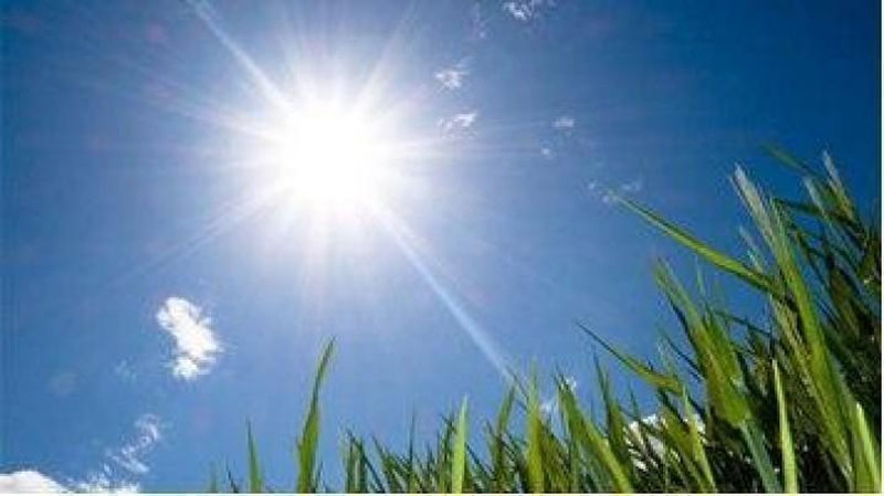 'O`zbekistonda hafta o`rtasida harorat 38 darajaga ko`tariladi'ning rasmi