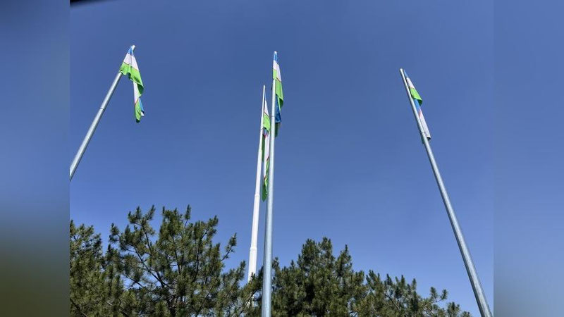 'Harorat 29-34° atrofida bo`ladi'ning rasmi