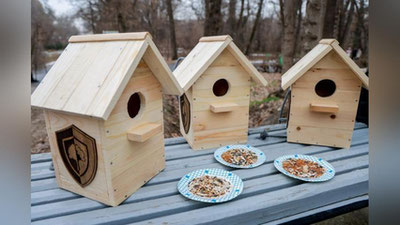 'Тошкентда “Қишда қушларга кўмак” акцияси ўтказилди (видео)'ning rasmi