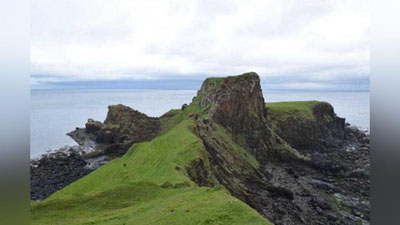 '170 миллион йил олдин яшаган динозавр излари топилди'ning rasmi