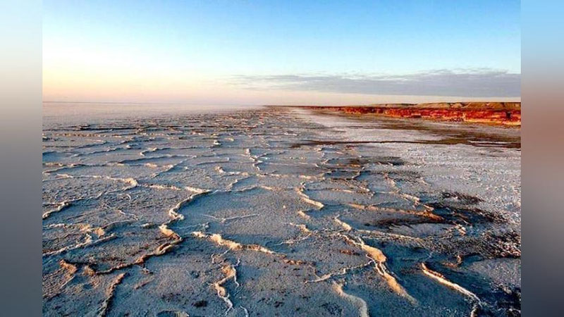 'Орол денгизи сувида фақат битта жонзот омон қолди. Уни сақлаб қололамизми?'ning rasmi