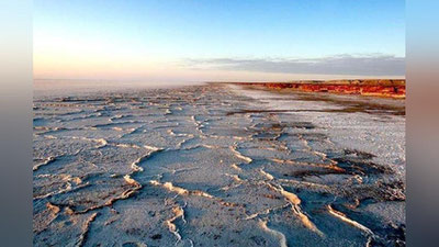 'Орол денгизи сувида фақат битта жонзот омон қолди. Уни сақлаб қололамизми?'ning rasmi