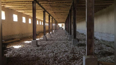 'Muammoga kim aybdor? Qibraylik fermerlarning belini sindirmang!'ning rasmi