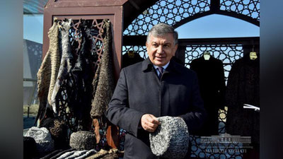 'Шавкат Мирзиёев Бухорода қоракўлчилик бўйича институт ва жамғарма ташкил этиш юзасидан топшириқ берди'ning rasmi