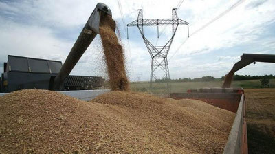 'Samarqandliklar g`alla sotish shartnomaviy rejasini bajarishdi'ning rasmi