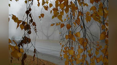 '13 noyabr kuni kutilayotgan ob-havo ma`lumoti'ning rasmi