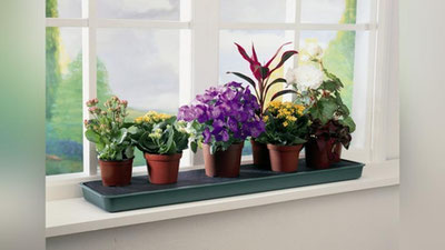 'GULLAR PARVARIShIDA YO`L QO`YILADIGAN 10 XATO'ning rasmi