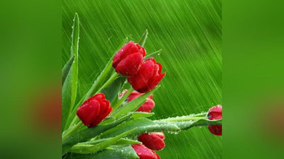 Изрображение 'СИНОПТИКИ СНОВА ПРОГНОЗИРУЮТ ДОЖДИ С ГРОЗАМИ 21 АПРЕЛЯ'