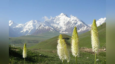'Ushbu haftada bahor fasli biz uchun tayyorlab qo`ygan ob-havo bo`yicha to`liq ma`lumot'ning rasmi
