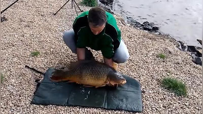 '​Балиқ у билан суратга тушмоқчи бўлган балиқчидан қочиб кетди (Видео)'ning rasmi