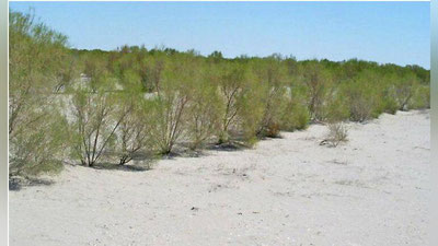 'Orolbo`yida bir kuz-qish mavsumida 42 yillik ish bajarildi'ning rasmi