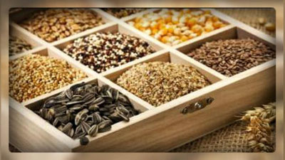 'TOP-10: ShIFOBAXSh URUG`LAR 'ning rasmi