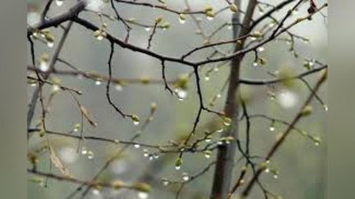 'Ertaga yomg`ir yog`ishi kutilmoqda 'ning rasmi