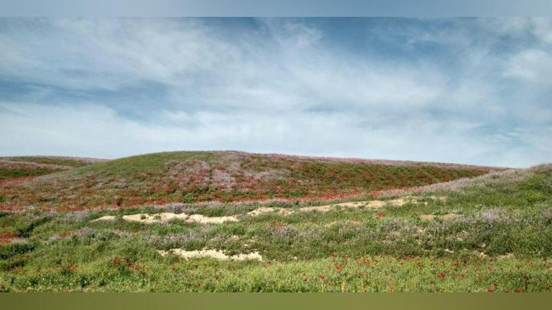 Изрображение 'КАКУЮ ПОГОДУ НА ЗАВТРА НАМ ОБЕЩАЮТ СИНОПТИКИ?'