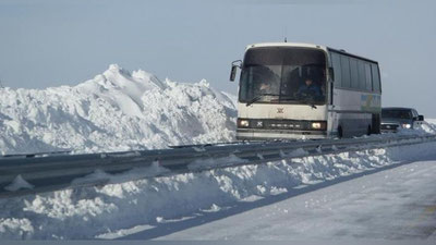 'Қозоғистонда ЙТҲга учраган ўзбекистонликлар ватанга қайтарилди 'ning rasmi