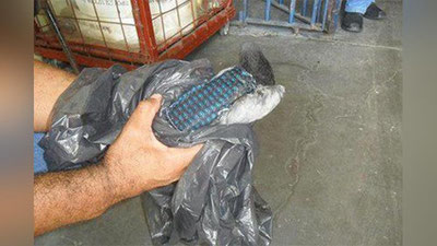 '​Braziliyadagi qamoqxonada “jinoyatchi kaptar” qo`lga olindi'ning rasmi