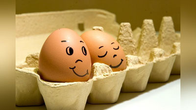 Изрображение 'ВСЕ ЛИ ЯЙЦА  ОДИНАКОВО  ПОЛЕЗНЫ?'