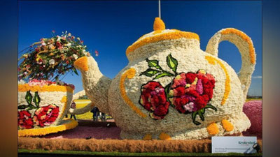 'Хитойда гуллар байрами нишонланмоқда'ning rasmi