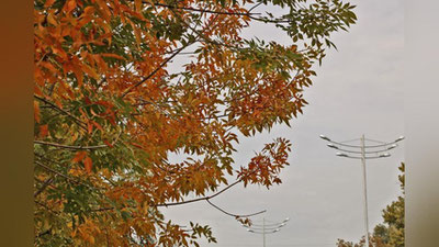 '4 oktyabr kuni kutilayotgan ob-havo ma`lumoti'ning rasmi