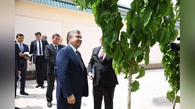 'Hosildor tut navi Prezidentimizda katta taassurot qoldirdi'ning rasmi