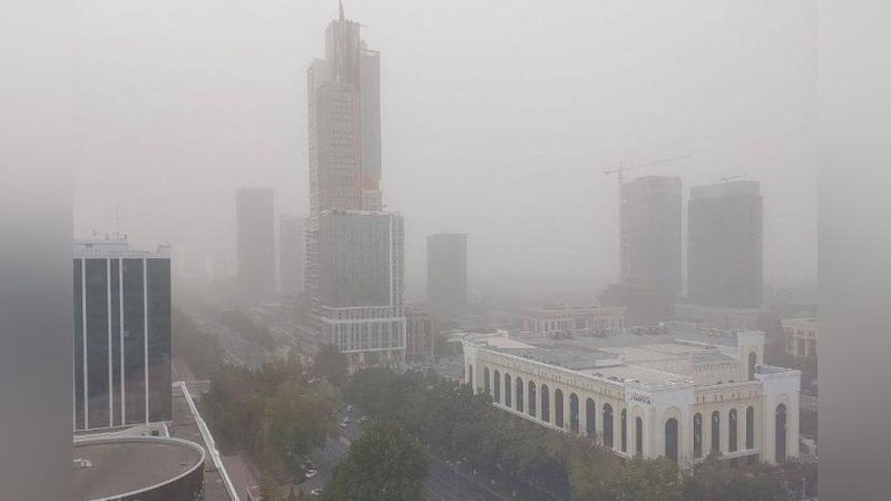 'O`zbekistonda havo sifatini yaxshilash bo`yicha mutaxassislardan 10 ta birlamchi takliflar ishlab chiqildi'ning rasmi