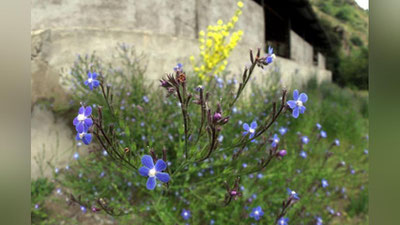 Изрображение 'ПРОГНОЗ ПОГОДЫ НА ВОСКРЕСЕНЬЕ, 19 АВГУСТА'