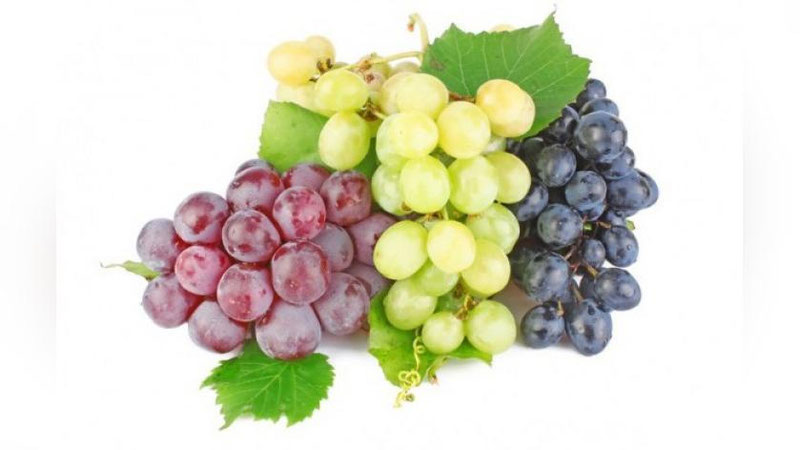 'UZUMNING 9 FOYDASI'ning rasmi